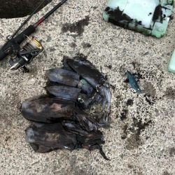 2022 佐渡ヶ島エギング 13回目【9月18日】