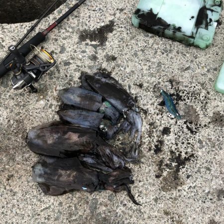 2022 佐渡ヶ島エギング 13回目【9月…