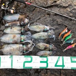 2022 佐渡ヶ島エギング 18回目【9月27日】