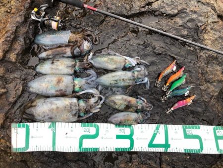 2022 佐渡ヶ島エギング 18回目【9月27日】