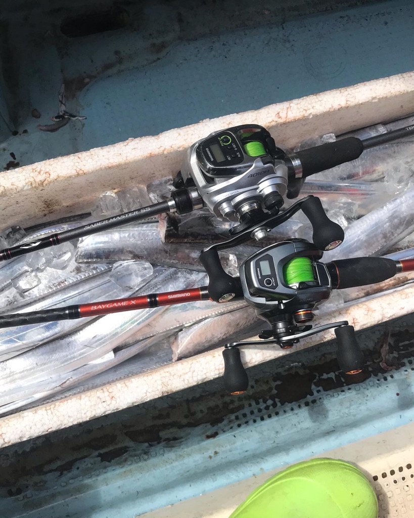 神戸沖のタチウオ