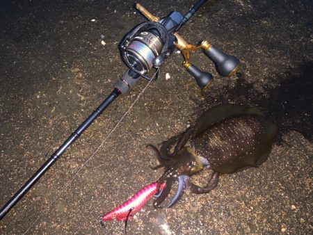 ジョジョコラボの墨族エギ、マジシャンズ/レ…