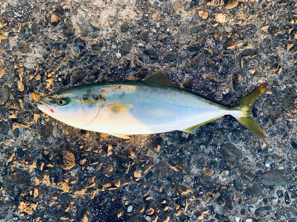 コルトスナイパーBBに鱗付け