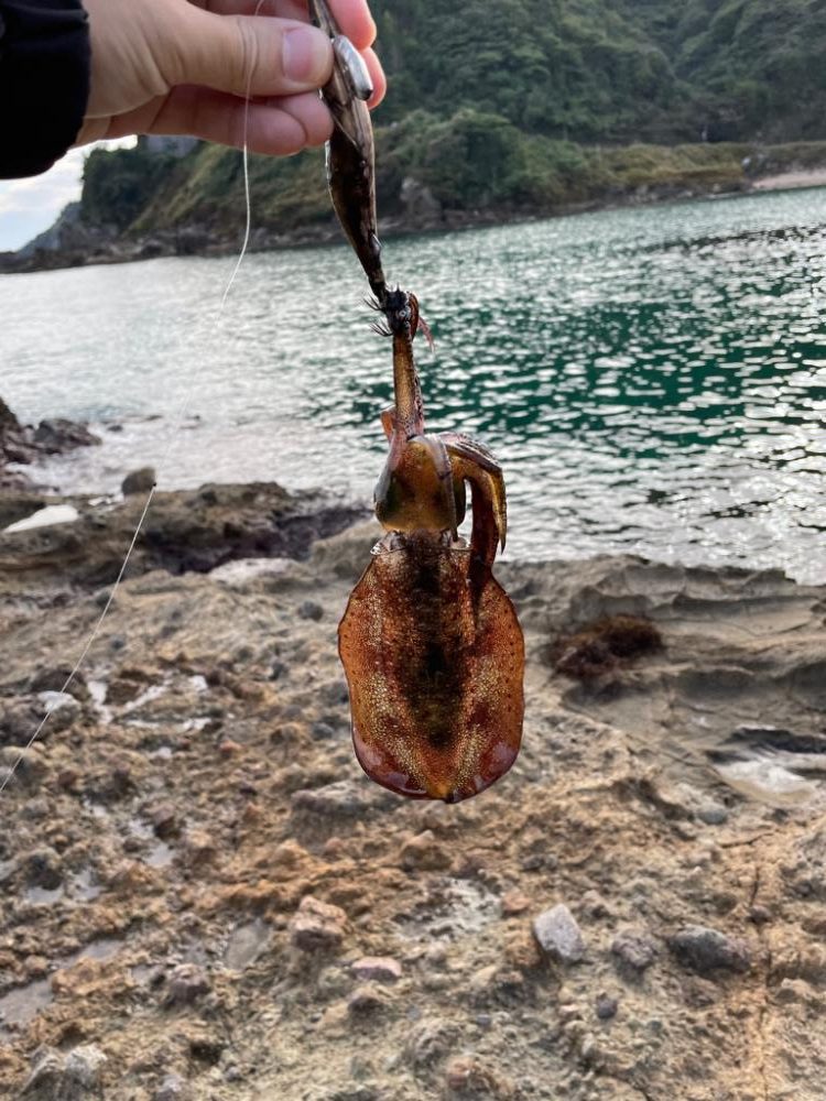 待ちに待ったエギング、ポイント探し。