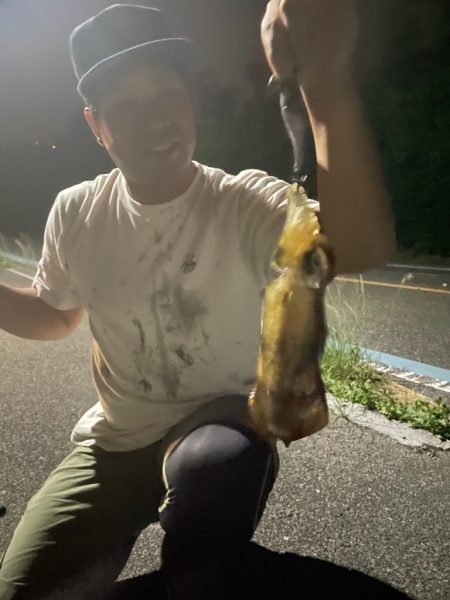 ナイトで良型確保