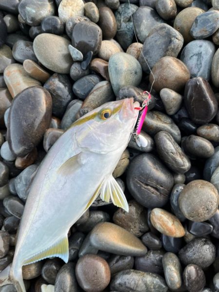 状況が読めない時はこのジグが強い