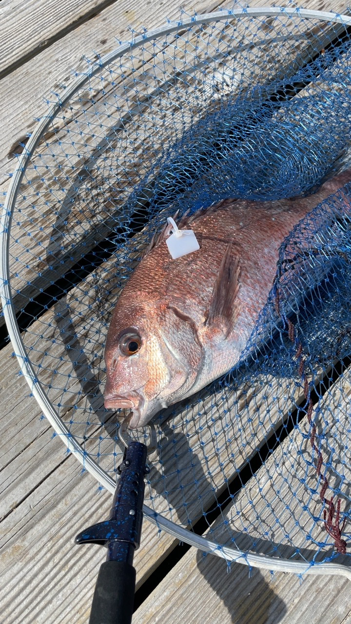 水宝に行って来ました