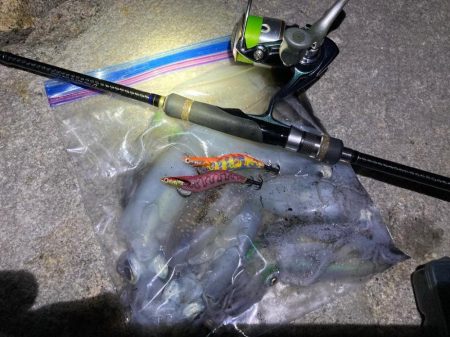 エギングからのライトゲーム