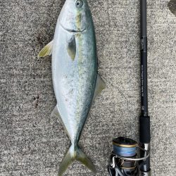 ショアジギング