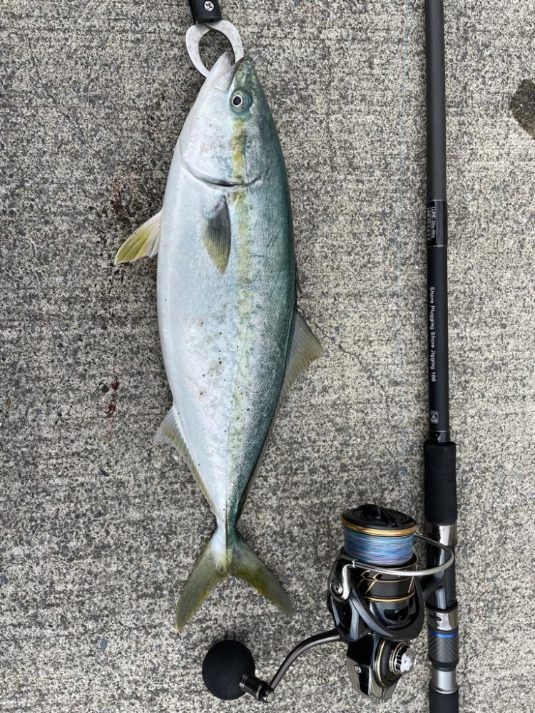 ショアジギング