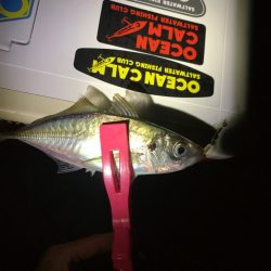 フロートアジング