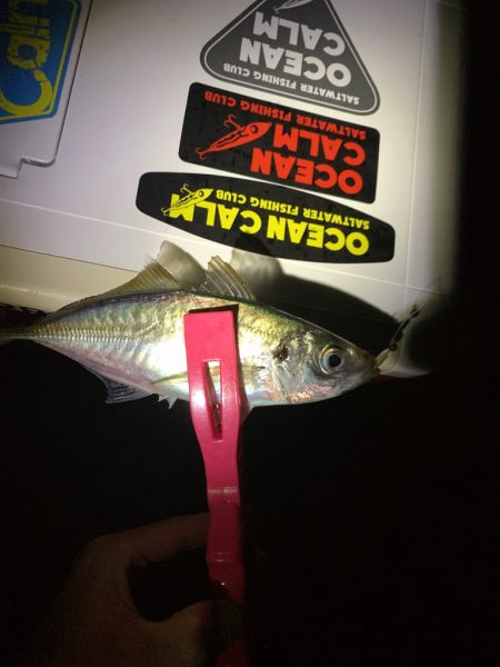 フロートアジング