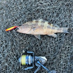 ショアジギング