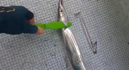 ジグパラでタチジギ！激シブでも釣れる！