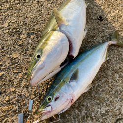 ⭐︎滑り込みセーフ