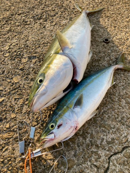 ⭐︎滑り込みセーフ