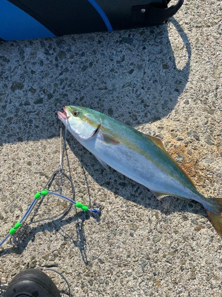 初の複数安打！