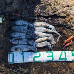 2022 佐渡ヶ島エギング 8回目