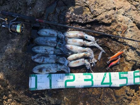 2022 佐渡ヶ島エギング 8回目