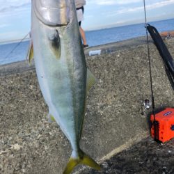 秋シーズン到来か