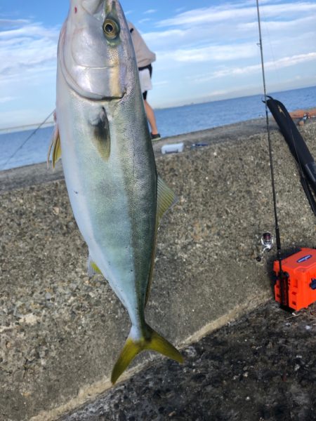 秋シーズン到来か
