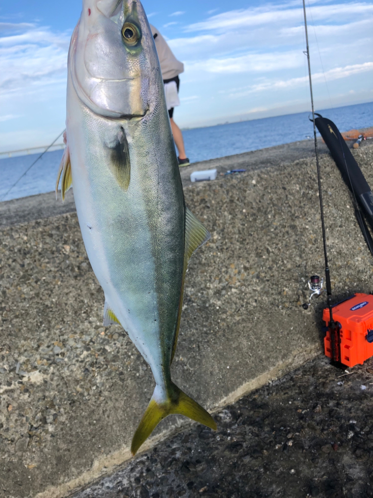 秋シーズン到来か