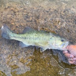 天草行ったら大体教良木