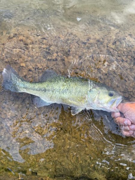 天草行ったら大体教良木
