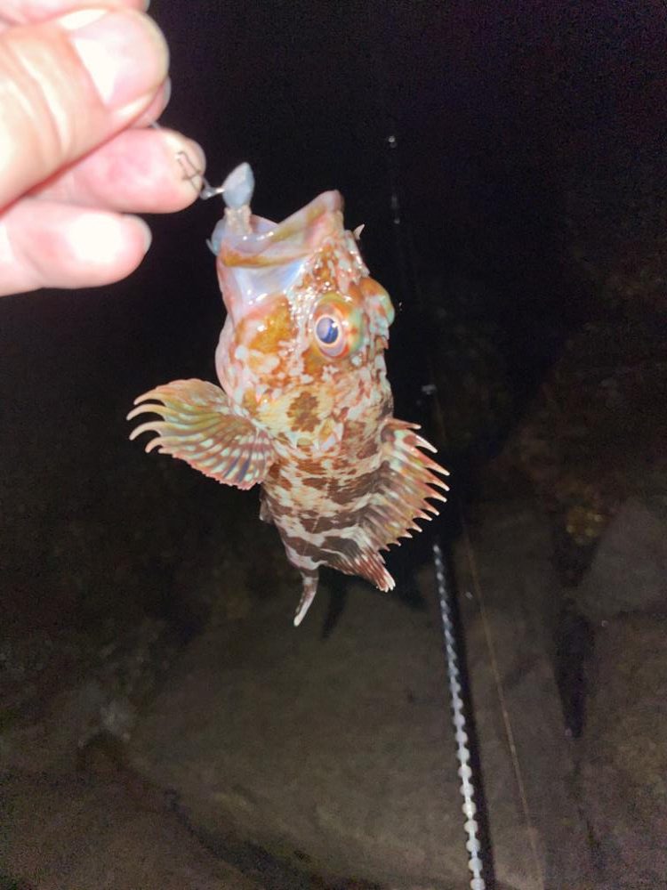 手軽なガシリング