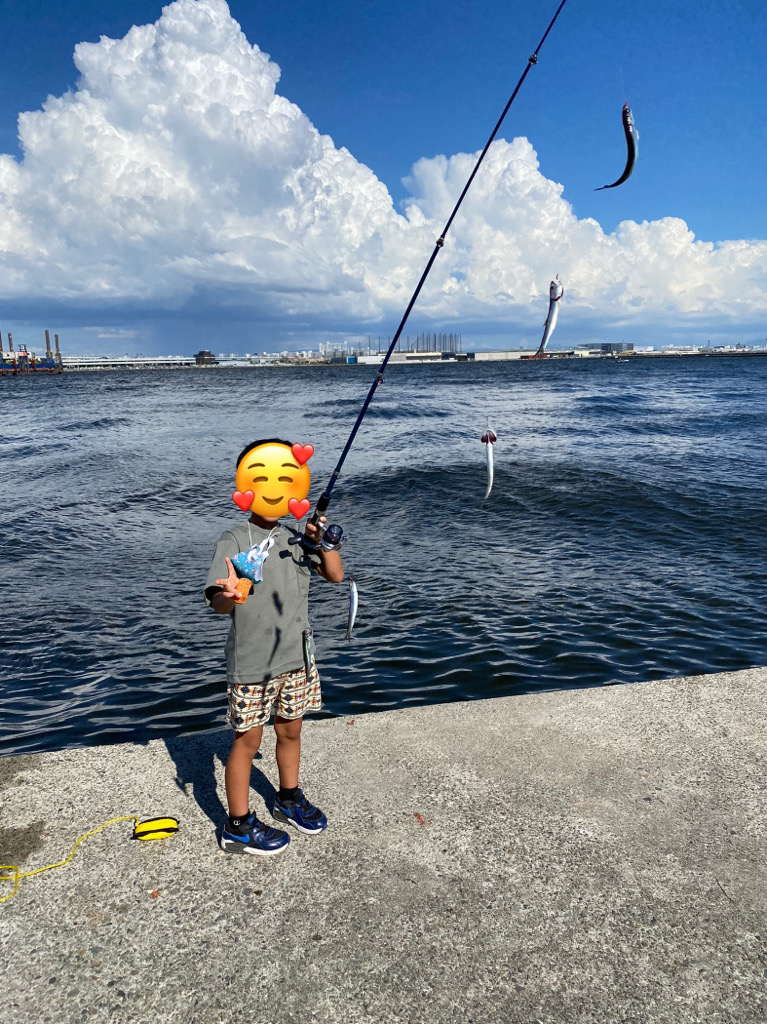 サビキ釣りでカタクチイワシ