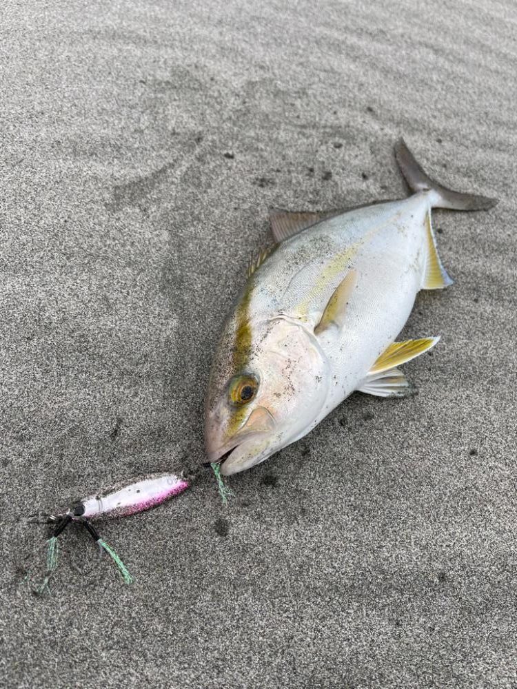 台風明け調査✍️
