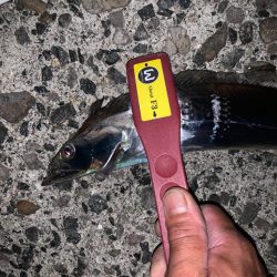 今季、初タチ！