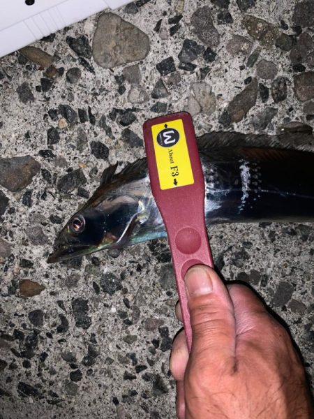 今季、初タチ！