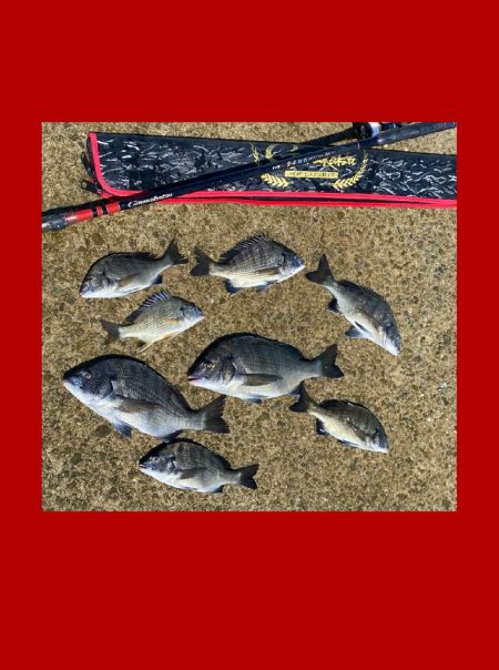 一雨降りその後。