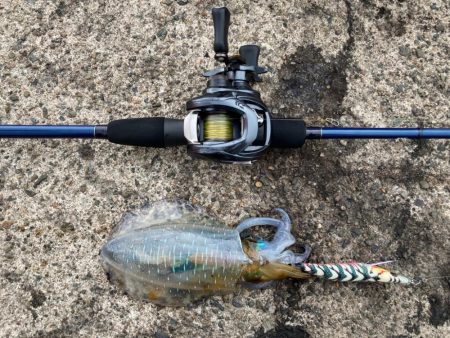 【エギング】ベイトフィネスエギング