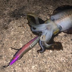 懲りずにエギング修行!