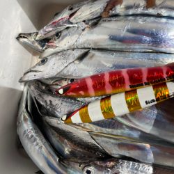 タチウオジギング