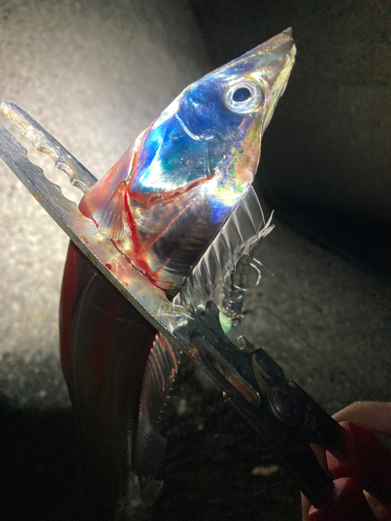 タチウオテンヤ