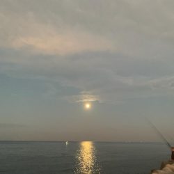 数日前はよかったらしいがなんとかのシオ