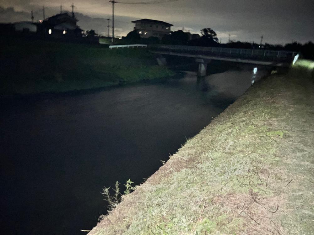 ひさびさの鯰GETだぜ！！