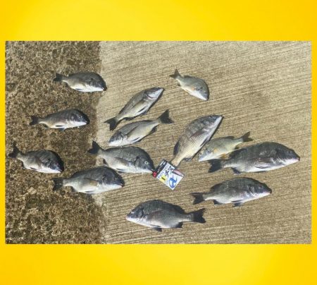 水深が低い状況からスタート