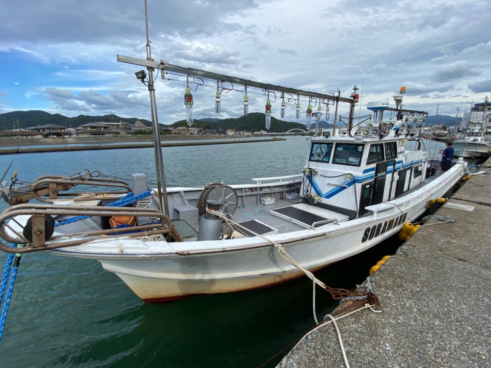 ナイトティップラン