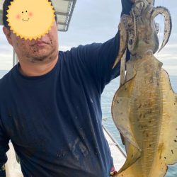 アオリイカ 鯛のリレー便 丸松乗合船