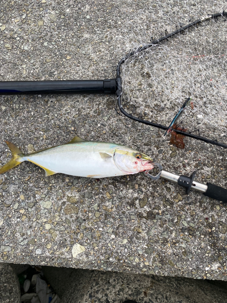 初メジロキャッチ！