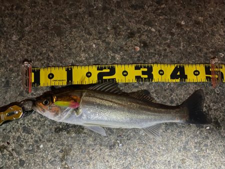 今日はハッピーデイ！