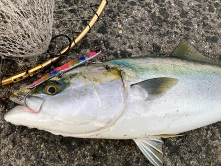 巻いて巻いて巻きまくれにゃー！