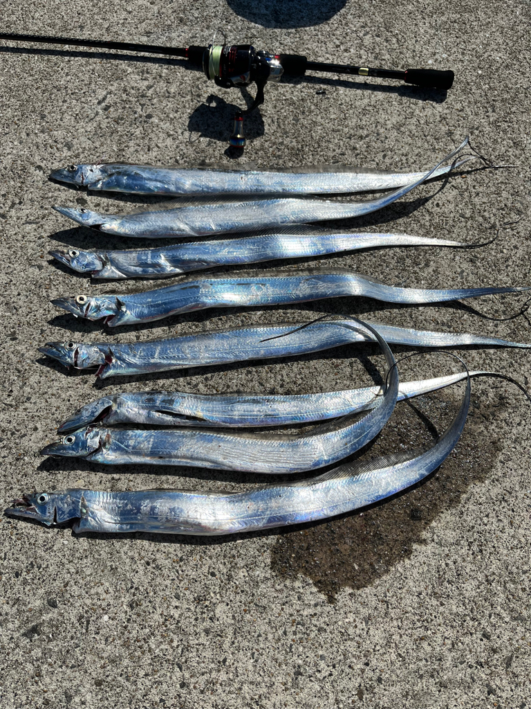 青物釣りたいなー