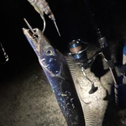 雨上がり深夜の釣り