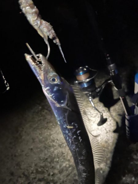 雨上がり深夜の釣り