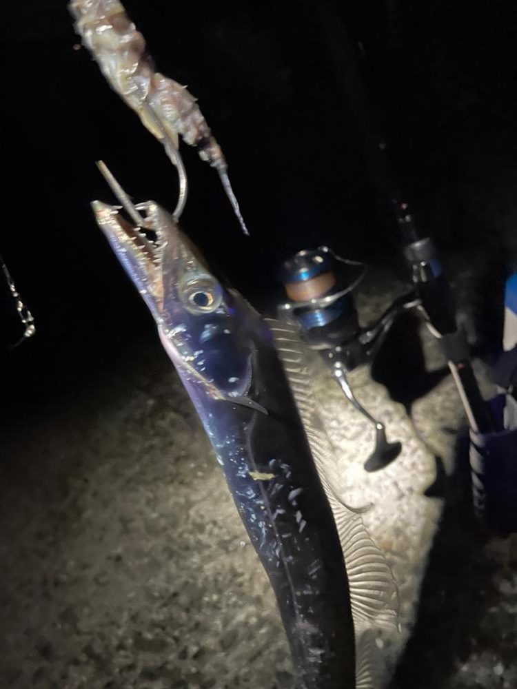 雨上がり深夜の釣り